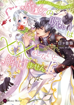 魔女の呪いは××をしないと解けません！？～王さまとわたしのふしだらな事情～ [二見書房]