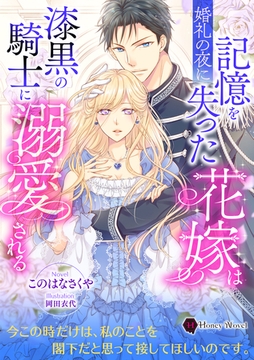 婚礼の夜に記憶を失った花嫁は漆黒の騎士に溺愛される [二見書房]