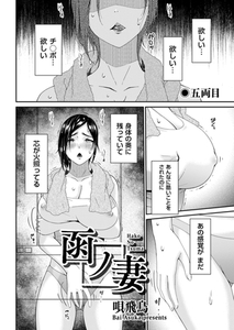 函ノ妻　五両目 [リイド社]