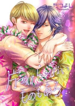 片づけられないものもある3 [光彩書房]