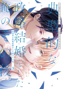 典型的な政略結婚をした俺のその後。３ [アルファポリス]