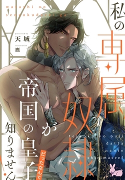 私の専属奴○が帝国の皇子だったなんて知りません！ [aito]