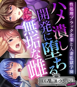 ハメ潰し開発に堕ちる無垢な雌 ～性処理ブラック企業と人妻監獄学園～【CG集コレクション ミニ】 [どろっぷす！]