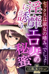 淫靡に誘うエロ妻の秘蜜 ～セックスは淑女の嗜み、でしょ？～【CG集コレクションBIG】 [どろっぷす！]