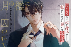 『月の檻に囚われて～執着と愛欲の檻に捕らわれる～』 [宵闇の箱庭]