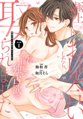 極上エリートとお見合いしたら、激しい独占欲で娶られました　俺様上司と性癖が一致しています【番外編１】 [アルファポリス]