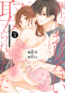 極上エリートとお見合いしたら、激しい独占欲で娶られました　俺様上司と性癖が一致しています【番外編２】 [アルファポリス]