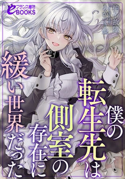 僕の転生先は側室の存在に緩い世界だった [フランス書院]