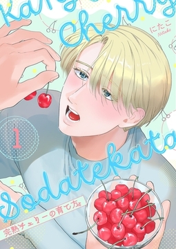 完熟チェリーの育て方【描き下ろしおまけ付き特装版】 1 [シーモアコミックス]