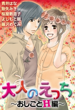 大人のえっち～おしごとＨ編～ [宙出版]