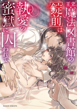 王立魔法図書館の[錠前]は執愛の蜜獄に囚われて [竹書房]