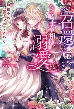 巻き込まれ召還された一般人ですが、なぜか騎士宰相様に溺愛されてます 勤務中の壁ドンおことわり [竹書房]