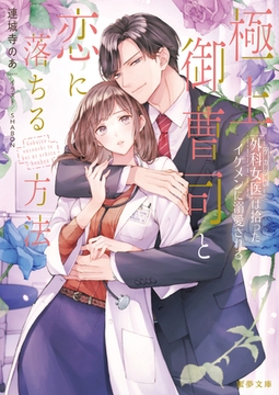 極上御曹司と恋に落ちる方法　外科女医は拾ったイケメンに溺愛される [竹書房]