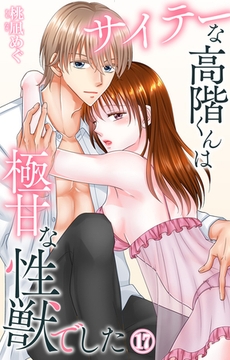 サイテーな高階くんは極甘な性獣でした17 [大都社/秋水社]