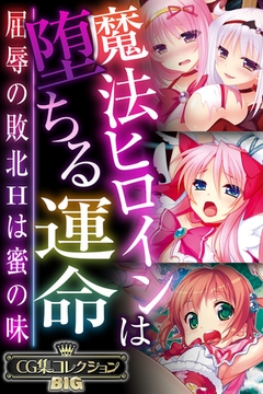 魔法ヒロインは堕ちる運命 ～屈辱の敗北Hは蜜の味～【CG集コレクションBIG】 [どろっぷす！]