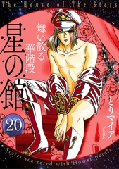 星の館20　舞い散る華階段 [明廣本舗]