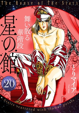 星の館20　舞い散る華階段 [明廣本舗]