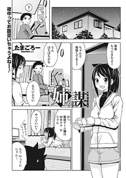 姉の謀 [辰巳出版]