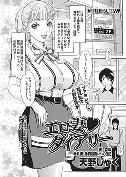 エロ妻・ダイアリー [辰巳出版]