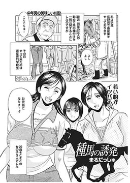 種馬の誘発 [辰巳出版]