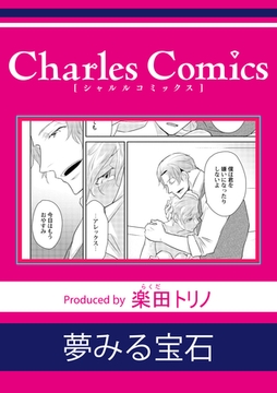 夢みる宝石 [メディアソフト]