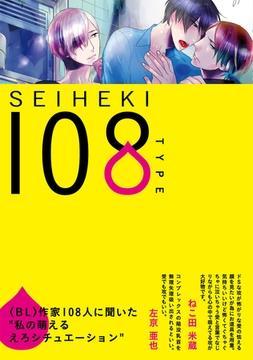 SEIHEKI 108 TYPE [ふゅーじょんぷろだくと]