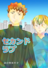 セカンドラブ 1巻 [ナンバーナイン]