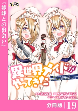 異世界メイドがやってきた～異邦人だった頃のメイドが現代の我が家でエッチなメイドさんに～【分冊版】（ノヴァコミックス）１９ [一二三書房]