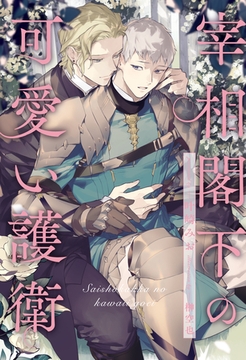 【期間限定　試し読み増量版】【全1-6セット】宰相閣下の可愛い護衛【イラスト付】 [ジュリアンパブリッシング]