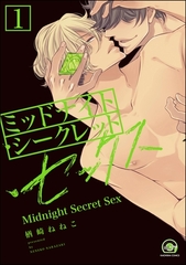 ミッドナイト・シークレット・セックス（分冊版）【シリーズ2】　【第1話】 [海王社]