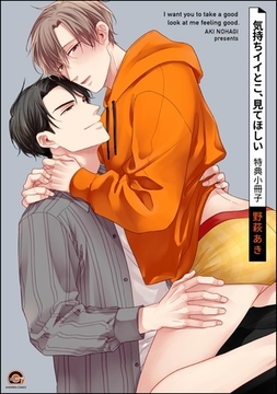 気持ちイイとこ、見てほしい特典小冊子 [海王社]