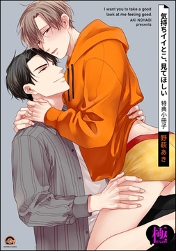 気持ちイイとこ、見てほしい 特典小冊子【極】 [海王社]