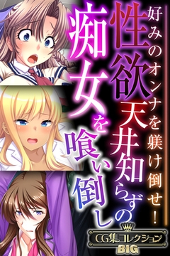 性欲天井知らずの痴女を喰い倒し ～好みのオンナを躾け倒せ！～【CG集コレクションBIG】 [どろっぷす！]