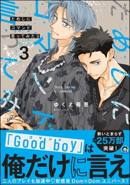 ためしにコマンド言ってみた【電子限定かきおろし漫画付】　（3） [海王社]