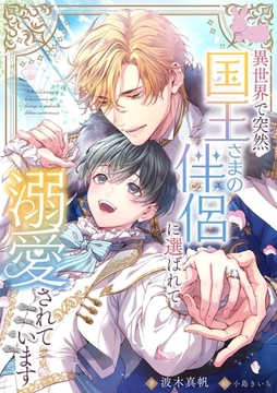 異世界で突然国王さまの伴侶に選ばれて溺愛されています [aito]