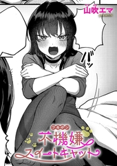 不機嫌スイートキャット [ジーオーティー]