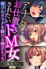 アナタにお仕置きされたいドM女 ～媚びたカラダを躾ける矯正えっち～【CG集コレクションBIG】