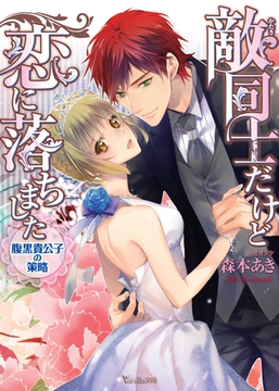 敵同士だけど恋に落ちました～腹黒貴公子の策略～ [ヴァニラ文庫]