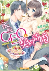 敏腕CEOと契約結婚～期間限定 旦那さま～ [ヴァニラ文庫]