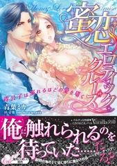 蜜恋エロティック・クルーズ～貴公子は溺れるほどの愛を囁く～ [ヴァニラ文庫]