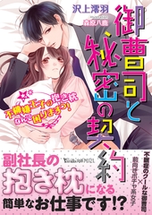 御曹司と秘密の契約～不機嫌王子の抱き枕なんて困りますっ！～ [ヴァニラ文庫]