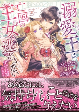 溺愛王は亡国の王女を逃がさない～ふしだらな蜜月と高潔の契り～ [ヴァニラ文庫]
