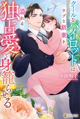 【期間限定　試し読み増量版】クールなパイロットはウブな新妻を溢れる独占愛で身籠らせる [アルファポリス]