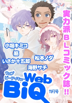 WebBiQ 2012年11月号 [ブライト出版]