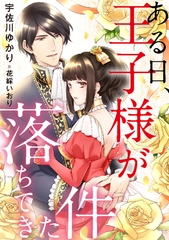 ある日、王子様が落ちてきた件 [天海社]