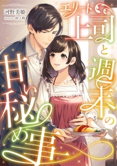 エリート上司と週末の甘い秘め事 [天海社]