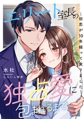 エリート室長の独占愛に包まれるまで　～初恋が10年経って実りました～ [天海社]