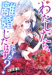 わたしたち、離婚したはずですが？ [天海社]