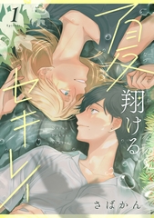 夏翔けるセキレイ1 [メディアソフト]