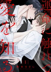 運命に触れて愛を知る１ [メディアソフト]